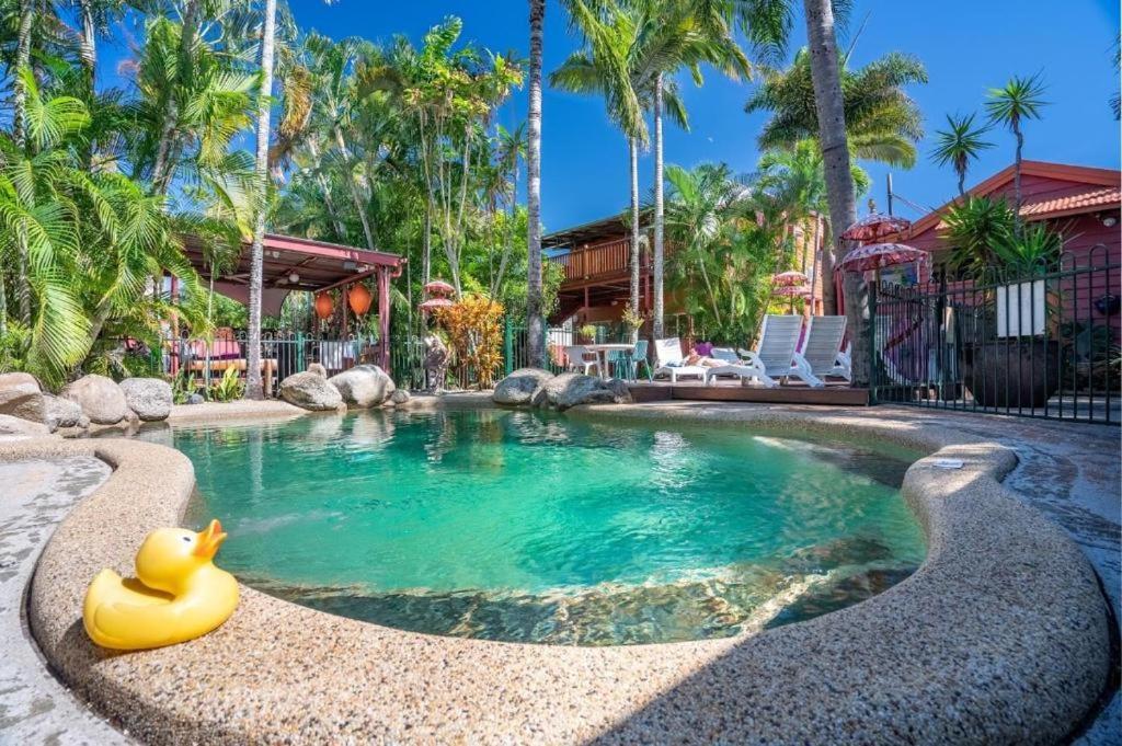 Auberge de jeunesse Travellers Oasis à Cairns Extérieur photo